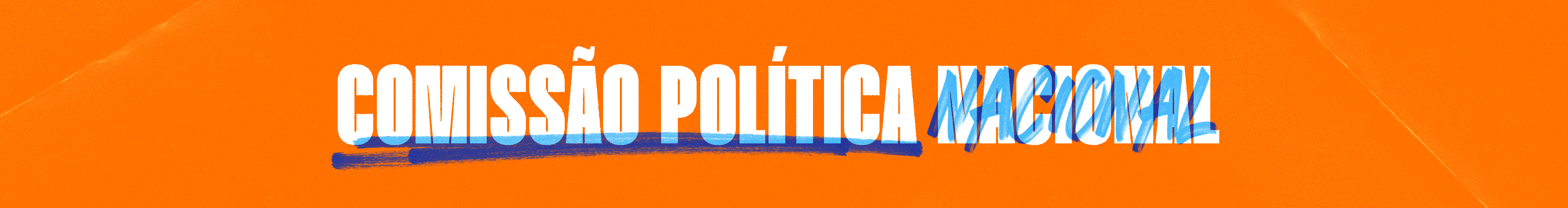 Comissão Política Nacional